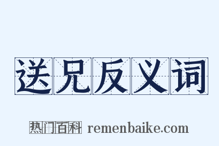 送兄反义词是什么意思的图片